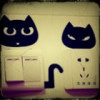 抖音兔哥w