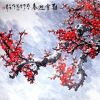 抖音山东大老表