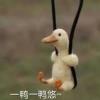 抖音芭蕉来了