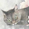 抖音晶晶百货吖