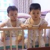 抖音jok助眠