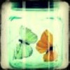 抖音饭加辣Vic