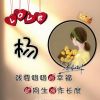 抖音野原广子