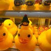 斗鱼粥大大cool