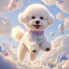 抖音舒缓情绪 减压焦虑 助眠 正念冥想