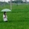 虎牙芊易-温澄【溪】【黄族】