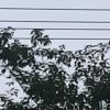 虎牙风云【亚瑟王】