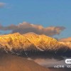 虎牙是你杨77