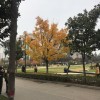 抖音安姐爱运动