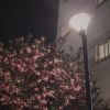 虎牙听渝-二三