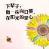 抖音双儿的黑皮
