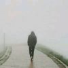 抖音顾三岁