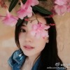 斗鱼jiutianguixiao