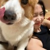 快手asmr晚安日记