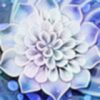 抖音糕冷小怡.