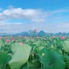抖音童心俱乐部(三角洲行动)