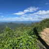 快手草莓??助眠