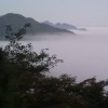 快手花花声控助眠
