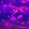 抖音HY&CO浩宇羽绒服渠县店